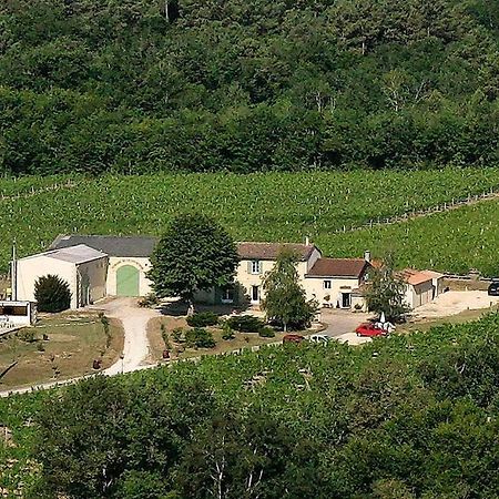 Domaine De Grand Homme Hotel Bordeaux Luaran gambar